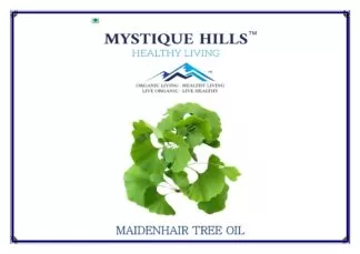 maidenhair tree ,Ginkgo biloba, Gingko, Ginkgo,gymnosperm tree, ginkgo , gingko