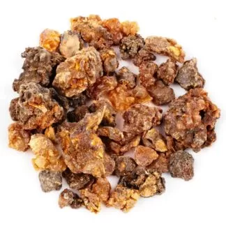 Commiphora wightii