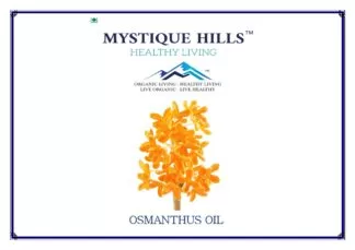 In Traditional Chinese Medicine, O. fragrans is considered to possess some beneficial effects such as relieving pain and alleviating cough, halitosis, and rheumatism