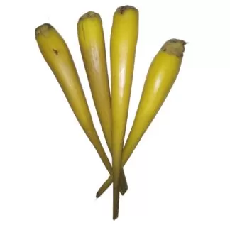 Palmyra tubers,Panai Kizhangu,Panangkizhangu,Thegalu,Gaygulu,Gengulu,Buragunju,thavanai,