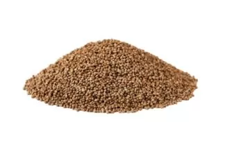 perilla seeds