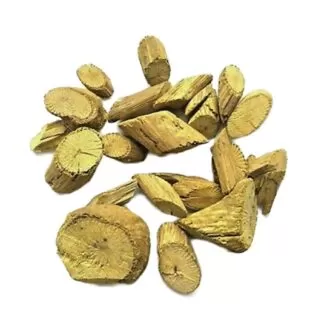 Coscinium fenestratum uses and benefits Coscinium fenestratum,False Columba ,Tree Turmeric,Maramanjal , Darvi , Jhar-i-haldi ,Maramanjal,Haem ,Voer Romiet,Weni wel,Colombo weed,yellow vine