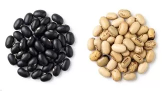 Mucuna Pruriens Seeds uses and benefits