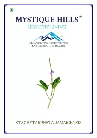 Stachytarpheta jamaicensis, or blue porterweed, has been traditionally used for various medicinal purposes, including digestive issues, respiratory ailments, and as an antiseptic for cuts and wounds. It also exhibits potential antimicrobial, anti-inflammatory, antidiabetic, and wound-healing properties supported by experimental studies. In addition, the plant is used as a 