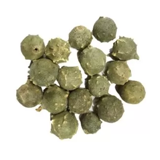 gouty galls, horned galls, knopper galls, Maasikkai, Machi kai, Majuphal Powder, MANJAKANI, marble galls, Masikkai, oak apples, Oak Gall, Quercus infectoria, spangle galls, மணிக்கட்டு, மாயாபால்