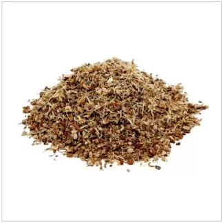 Quercus alba