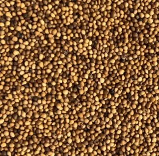 Ficus racemosa uses and benefits